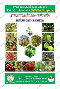 PHÂN HÓA MẦM HOA THẦN TỐC